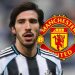 HERE WE GO: Man Utd urged to sign £160m Newcastle ‘monsters’ in game-changing double swoop.