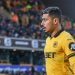 HERE WE GO:Leeds United Plot £35m Move for Brazilian Midfield Enforcer André – The Missing Piece in Farke’s Engine Room?