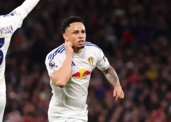 “Never Really Convincing” – Former Leeds United Boss Questions Farke’s Side Despite Survival Push