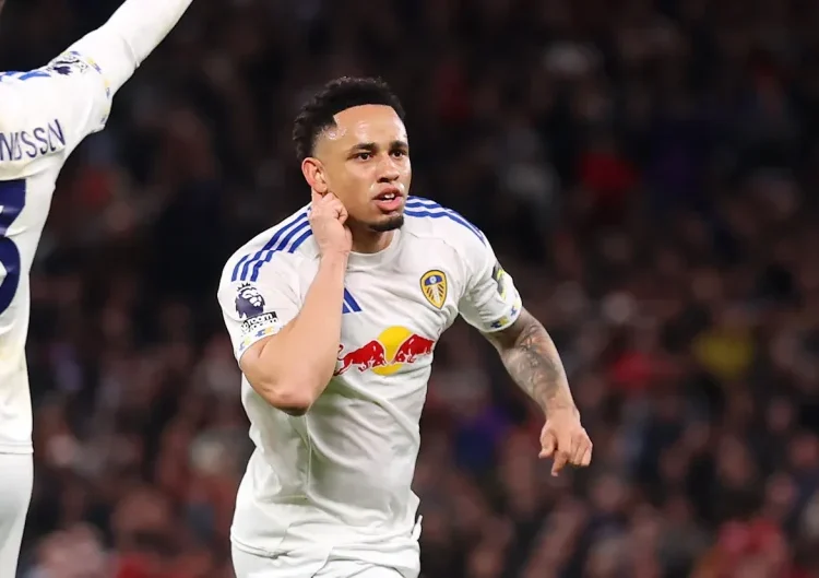 “Never Really Convincing” – Former Leeds United Boss Questions Farke’s Side Despite Survival Push